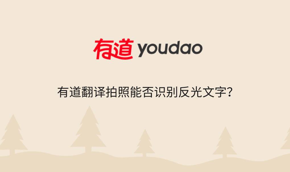 有道翻译拍照能否识别反光文字?